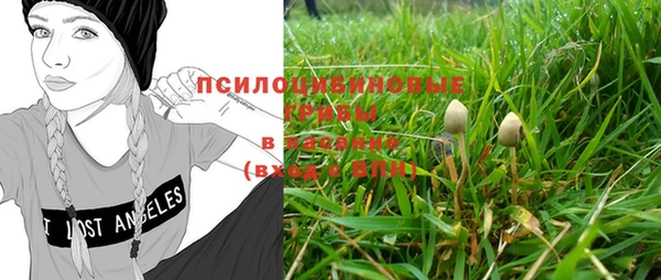 a pvp Арсеньев