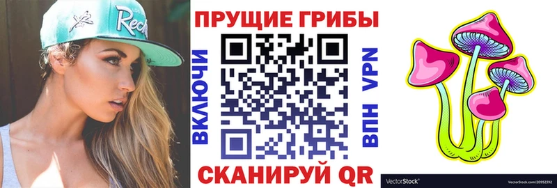Псилоцибиновые грибы MAGIC MUSHROOMS  купить наркотик  Чайковский 